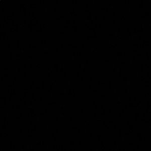 Meet your Posher, Alesha